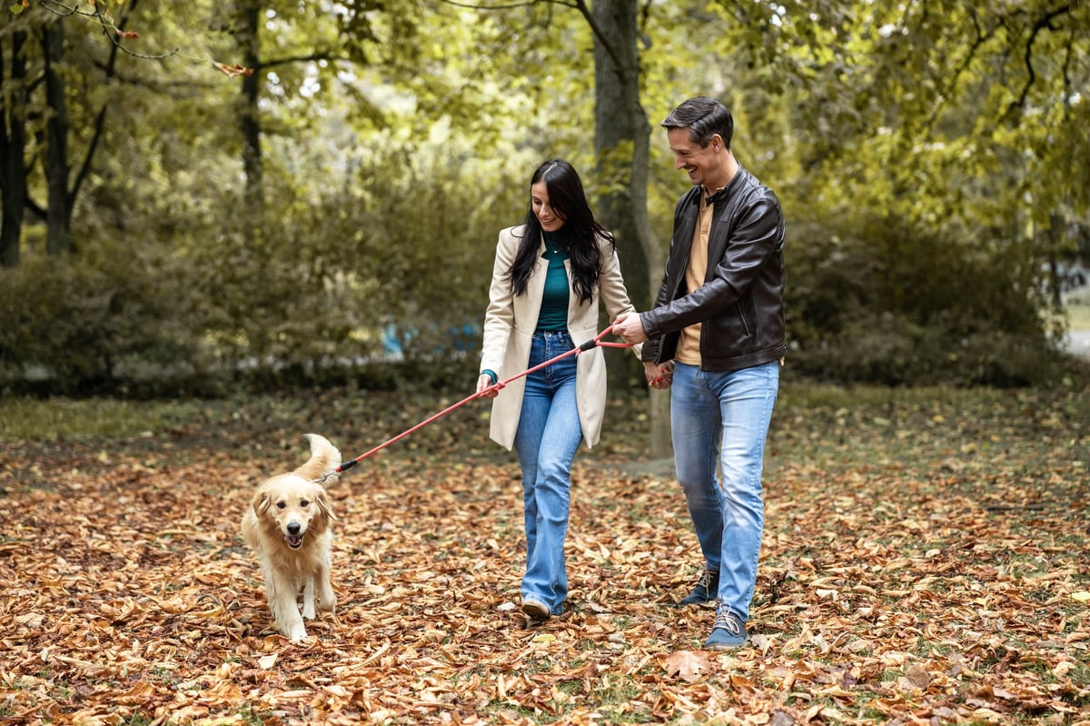 Couple walking their golden retriever through an autumn park