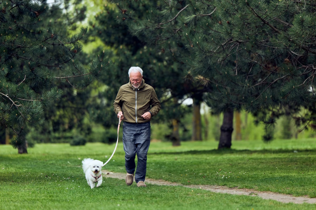 Older man walking a small white dog along a leafy park path